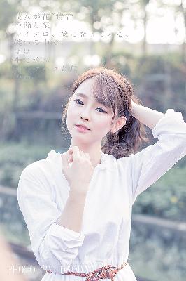 最新中文字幕免费看的电视剧