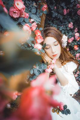 免费的电视剧软件APP